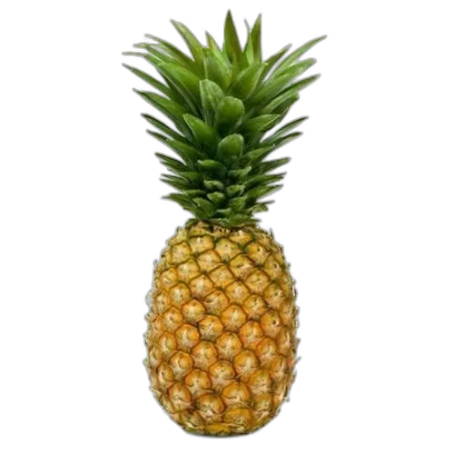 [rupro_00081] Piña Undad