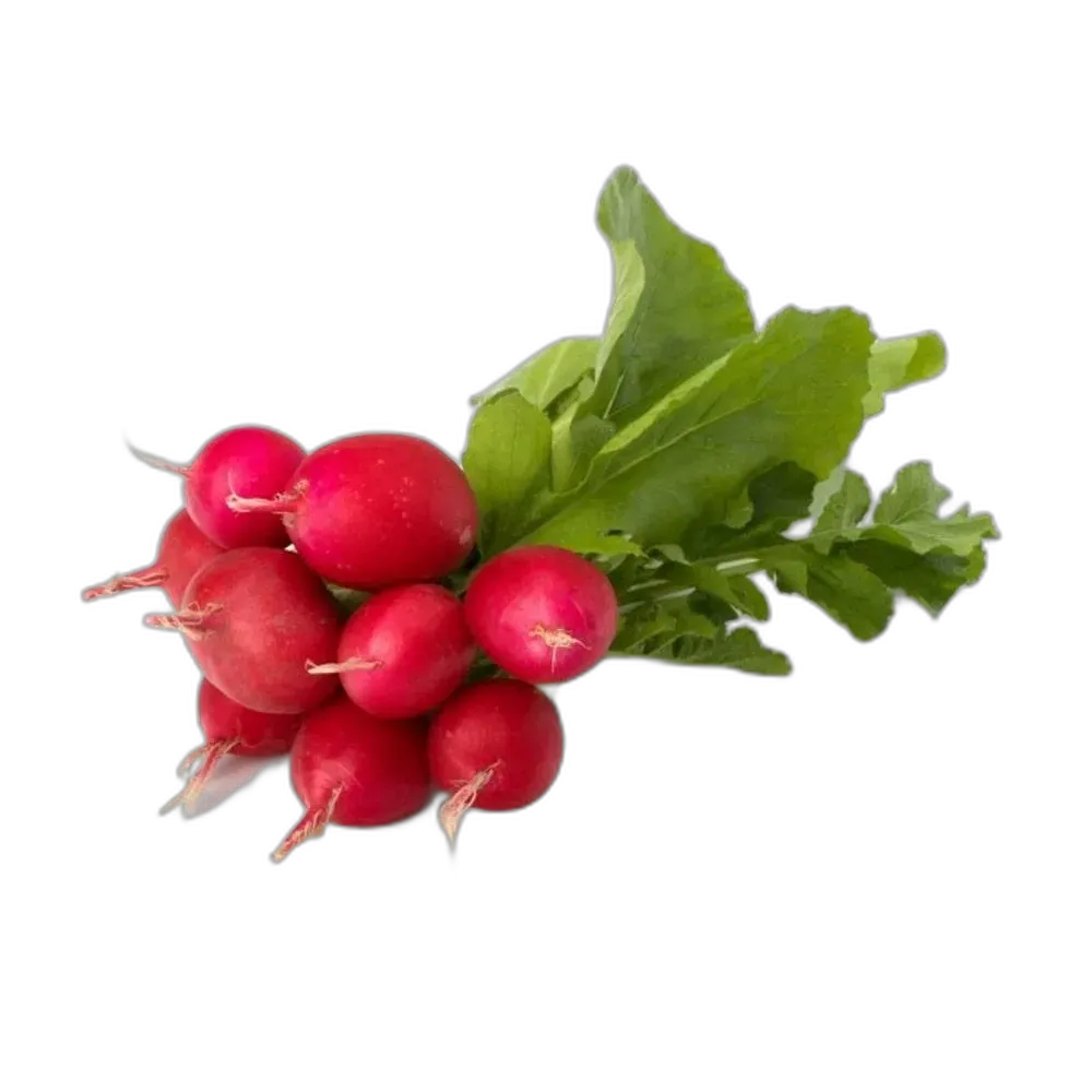 [rupro_00084] Rabano Rojo Manojo